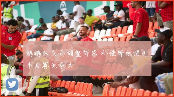 鹈鹕队交易调整阵容 补强锋线提升季后赛竞争力