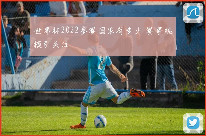 世界杯2022参赛国家有多少 赛事规模引关注
