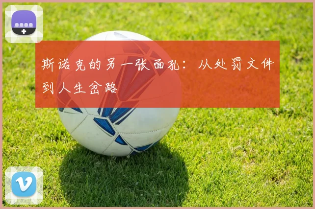 斯诺克的另一张面孔:从处罚文件到人生岔路