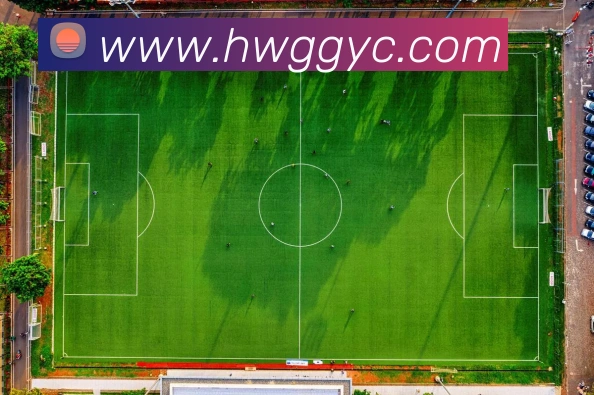 世界杯官网线上平台服务体系